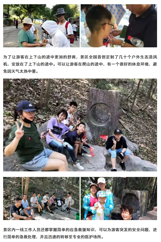 午夜熟女插插XX免费视频