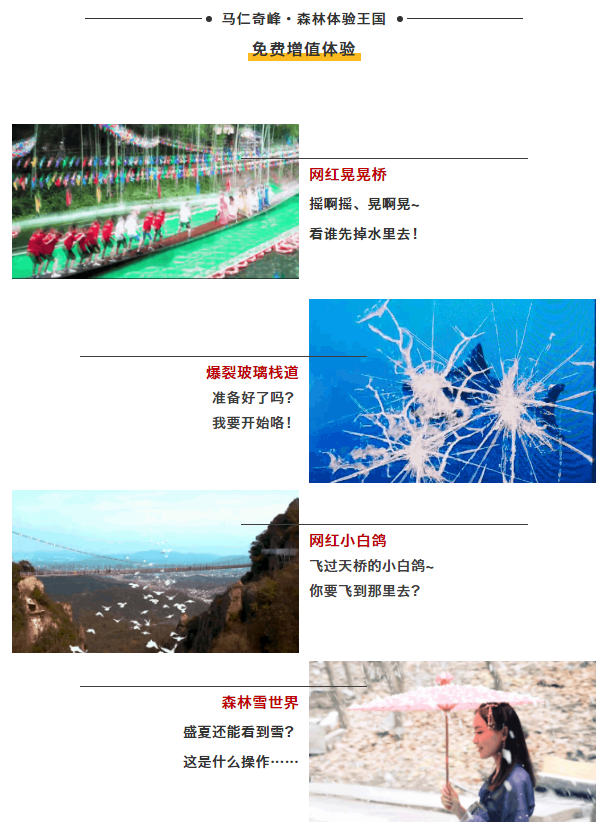 午夜熟女插插XX免费视频