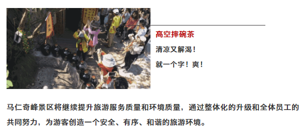 午夜熟女插插XX免费视频