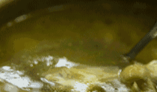 午夜熟女插插XX免费视频