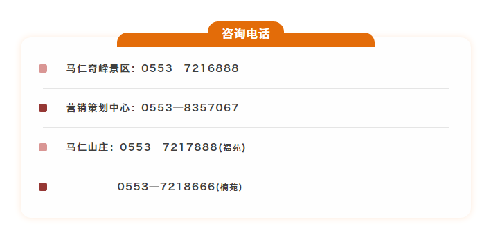 午夜熟女插插XX免费视频