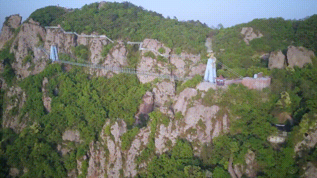 午夜熟女插插XX免费视频