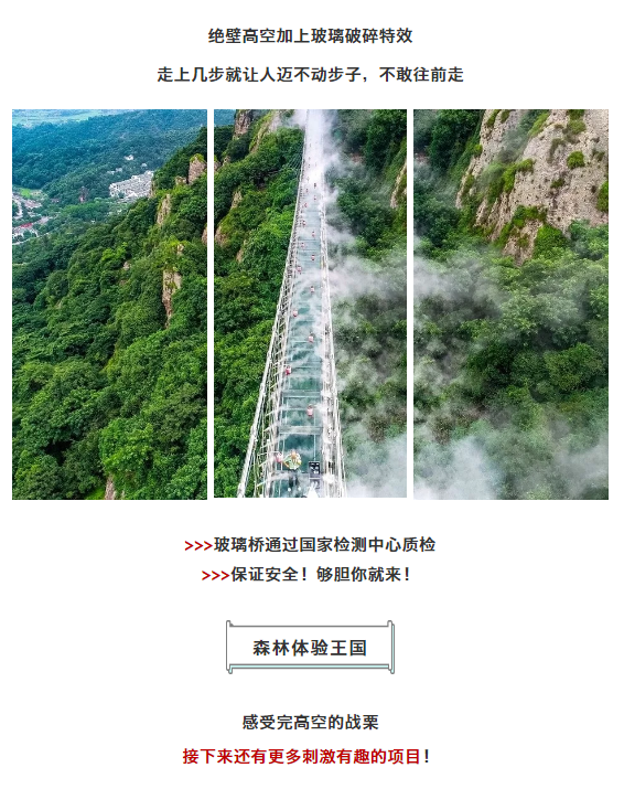 午夜熟女插插XX免费视频