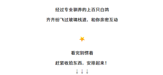 午夜熟女插插XX免费视频