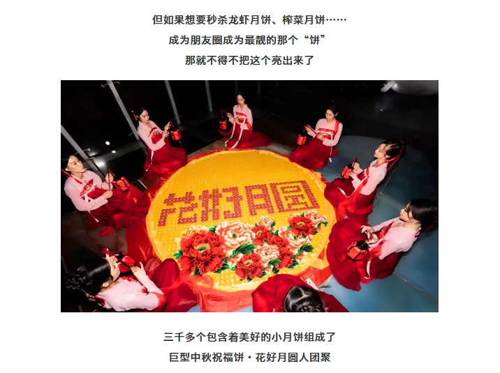 午夜熟女插插XX免费视频