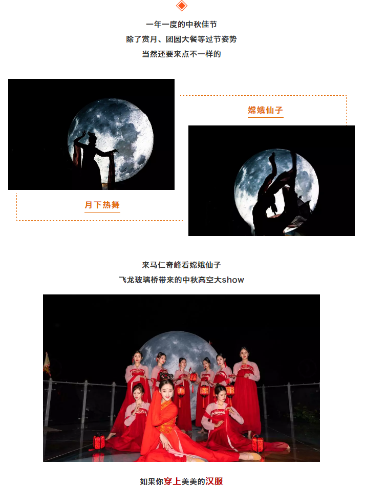 午夜熟女插插XX免费视频