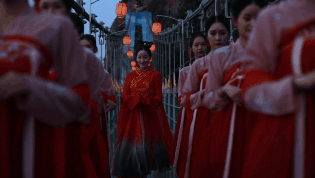 午夜熟女插插XX免费视频