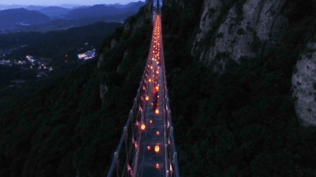 午夜熟女插插XX免费视频