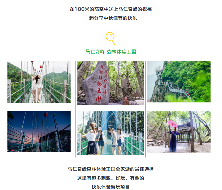 午夜熟女插插XX免费视频