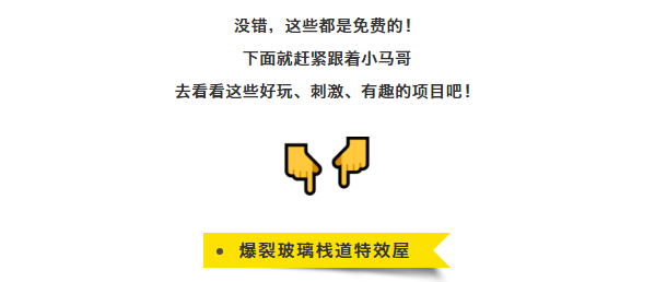 午夜熟女插插XX免费视频