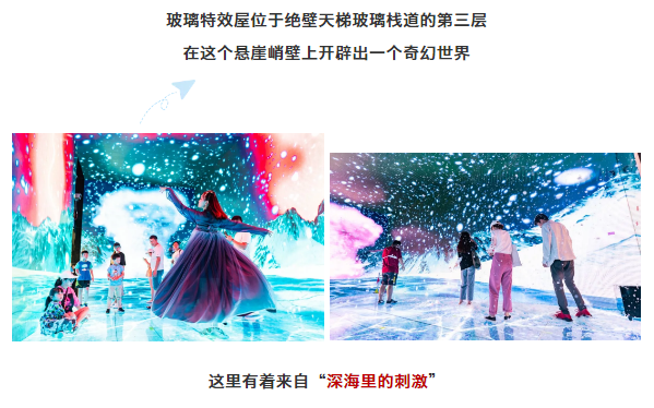 午夜熟女插插XX免费视频