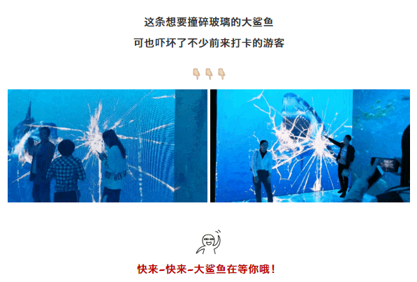 午夜熟女插插XX免费视频