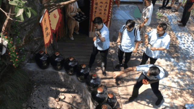 午夜熟女插插XX免费视频