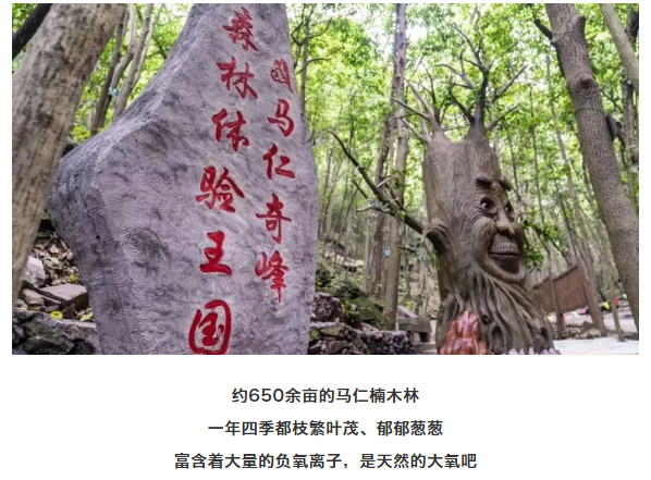 午夜熟女插插XX免费视频