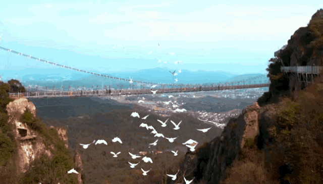 午夜熟女插插XX免费视频