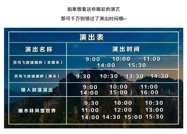 午夜熟女插插XX免费视频