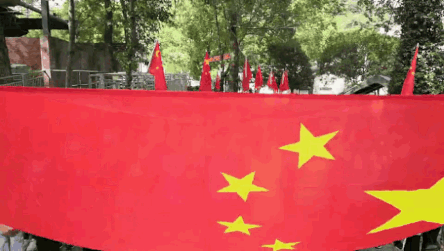 午夜熟女插插XX免费视频