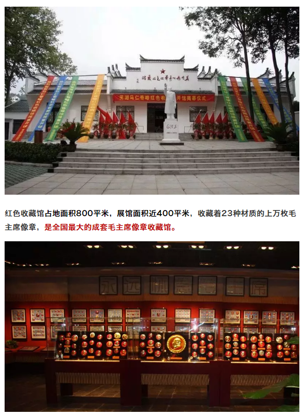 午夜熟女插插XX免费视频