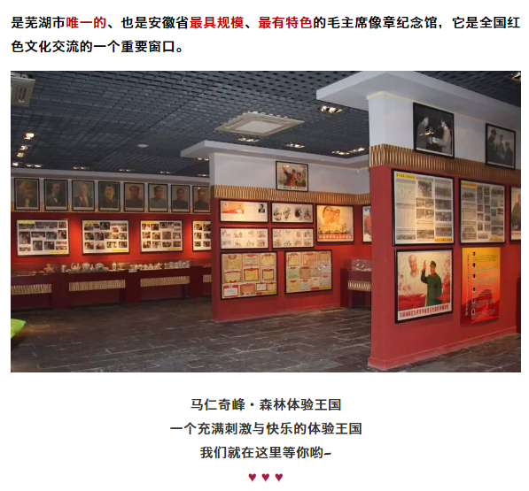 午夜熟女插插XX免费视频