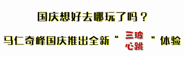 午夜熟女插插XX免费视频