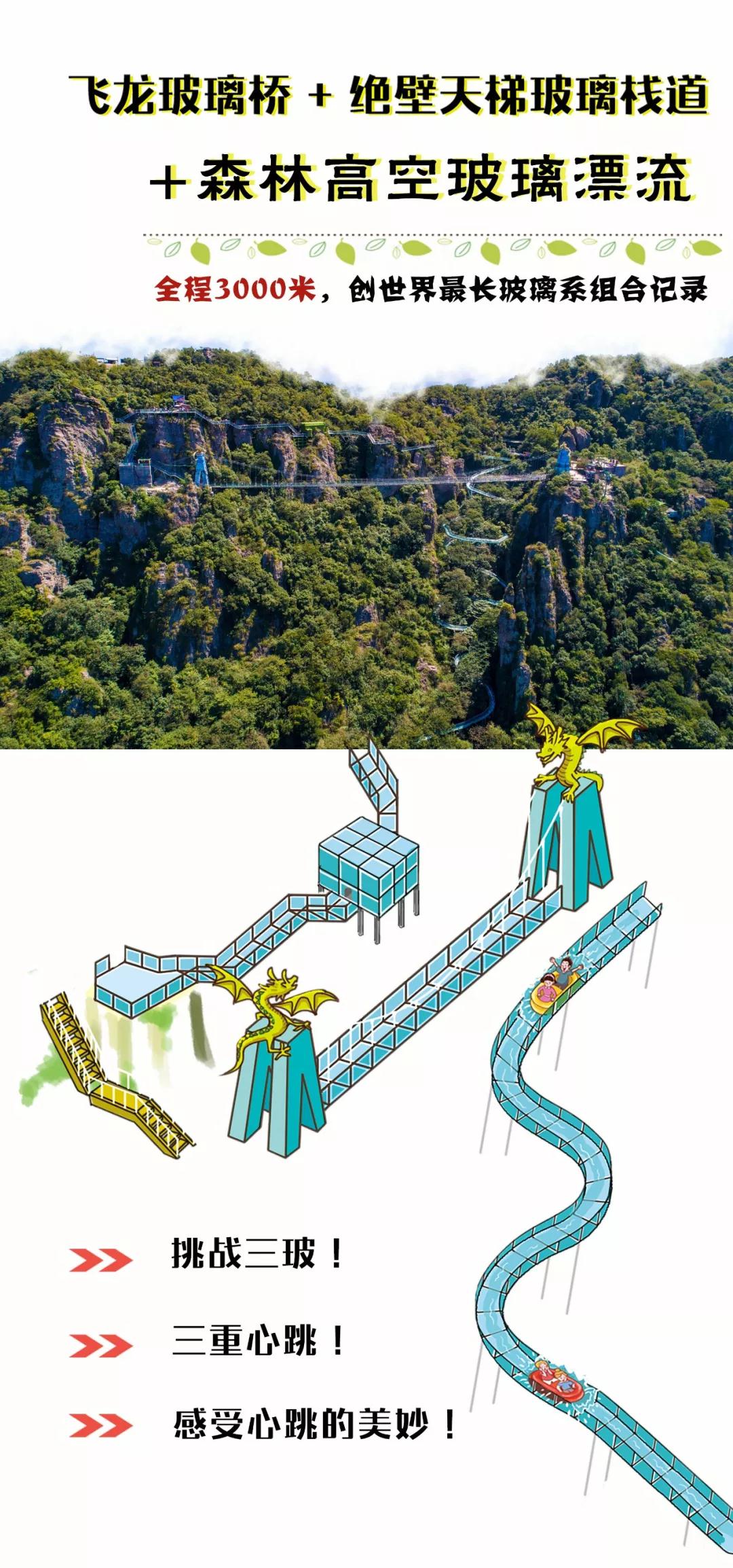 午夜熟女插插XX免费视频