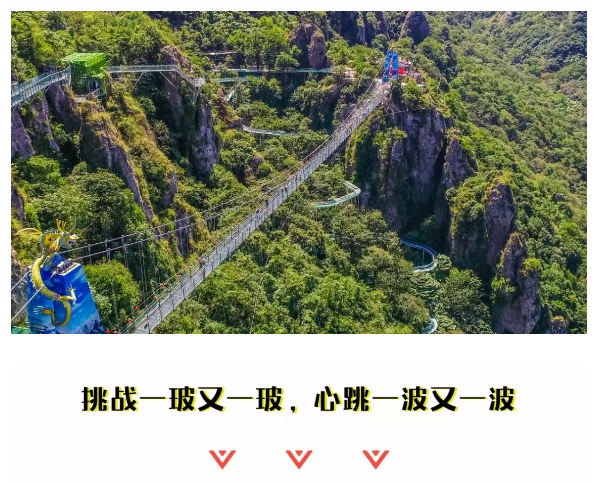 午夜熟女插插XX免费视频