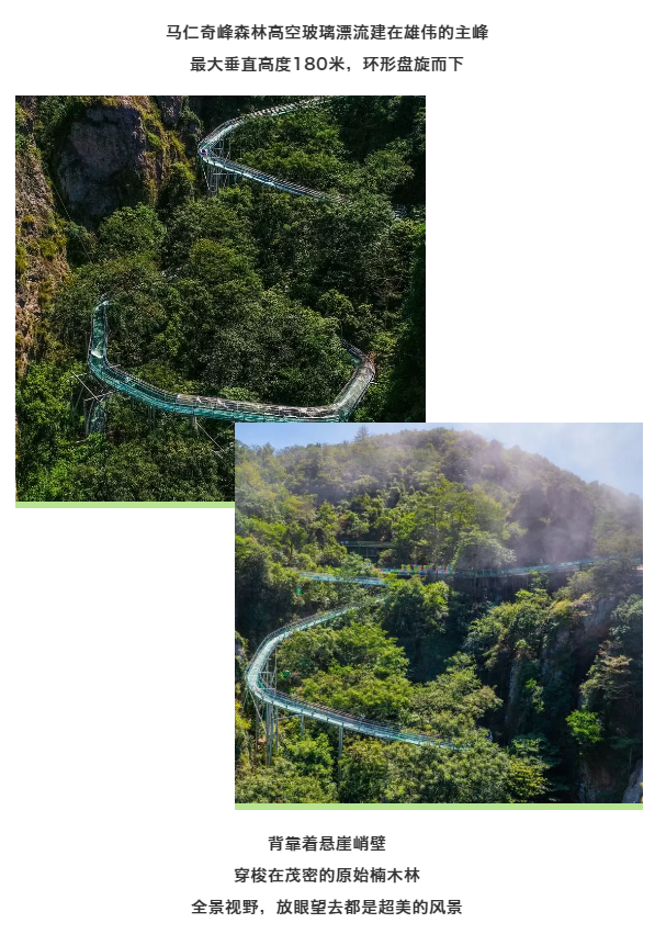 午夜熟女插插XX免费视频