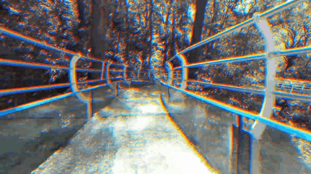 午夜熟女插插XX免费视频