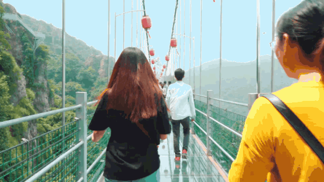 午夜熟女插插XX免费视频