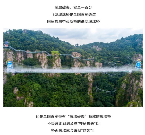 午夜熟女插插XX免费视频