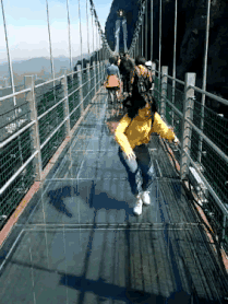 午夜熟女插插XX免费视频