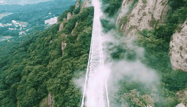 午夜熟女插插XX免费视频