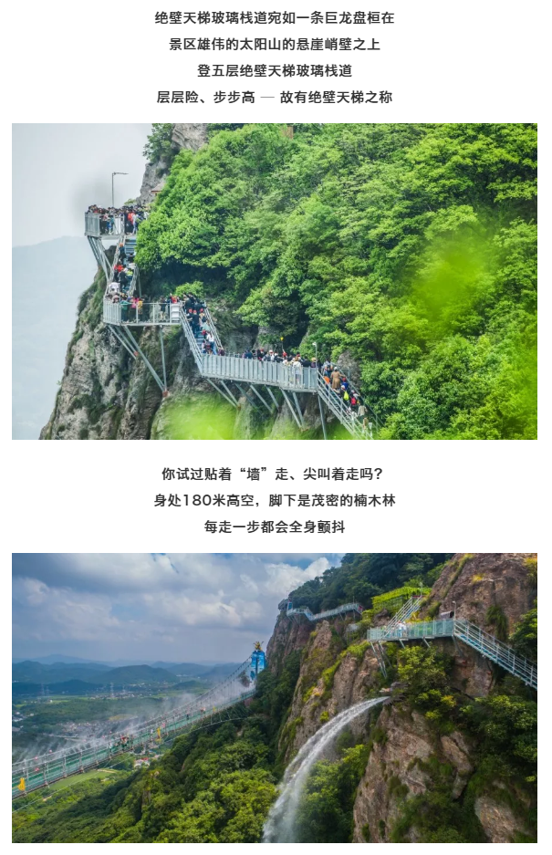 午夜熟女插插XX免费视频