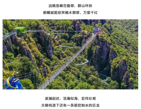 午夜熟女插插XX免费视频