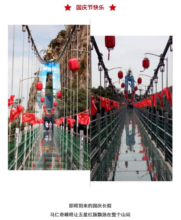 午夜熟女插插XX免费视频