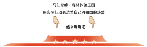 午夜熟女插插XX免费视频