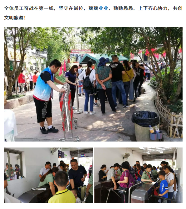 午夜熟女插插XX免费视频