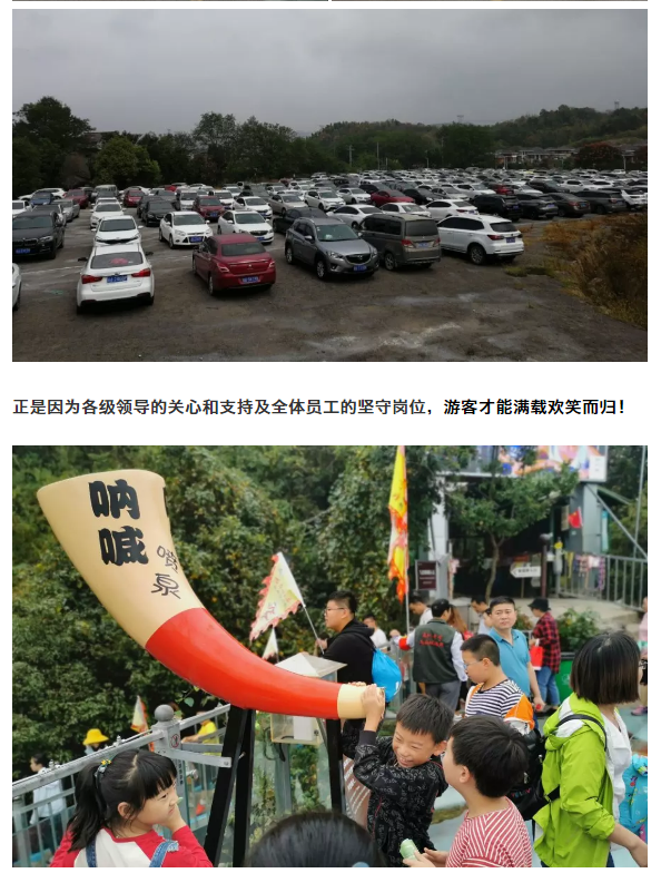 午夜熟女插插XX免费视频