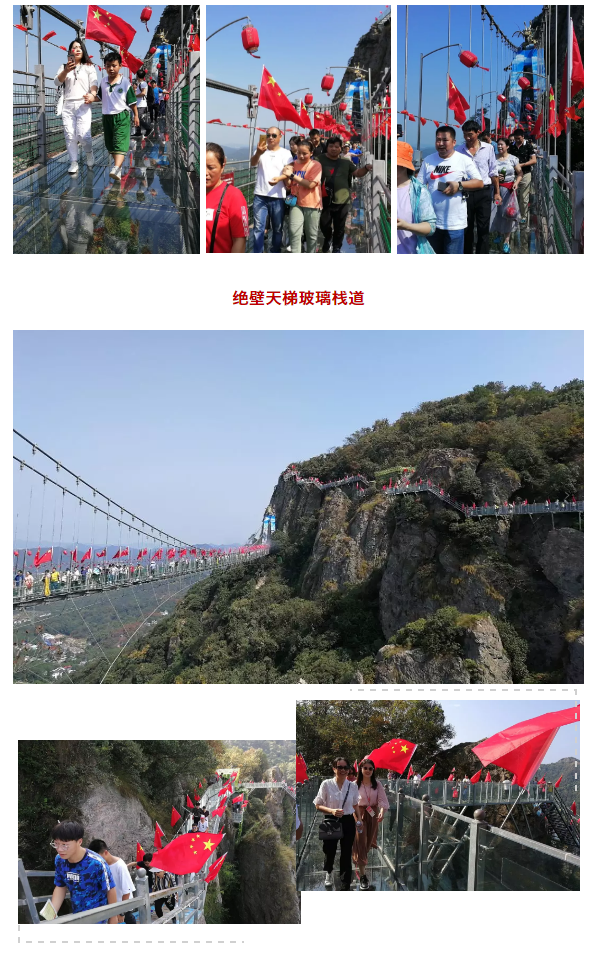 午夜熟女插插XX免费视频