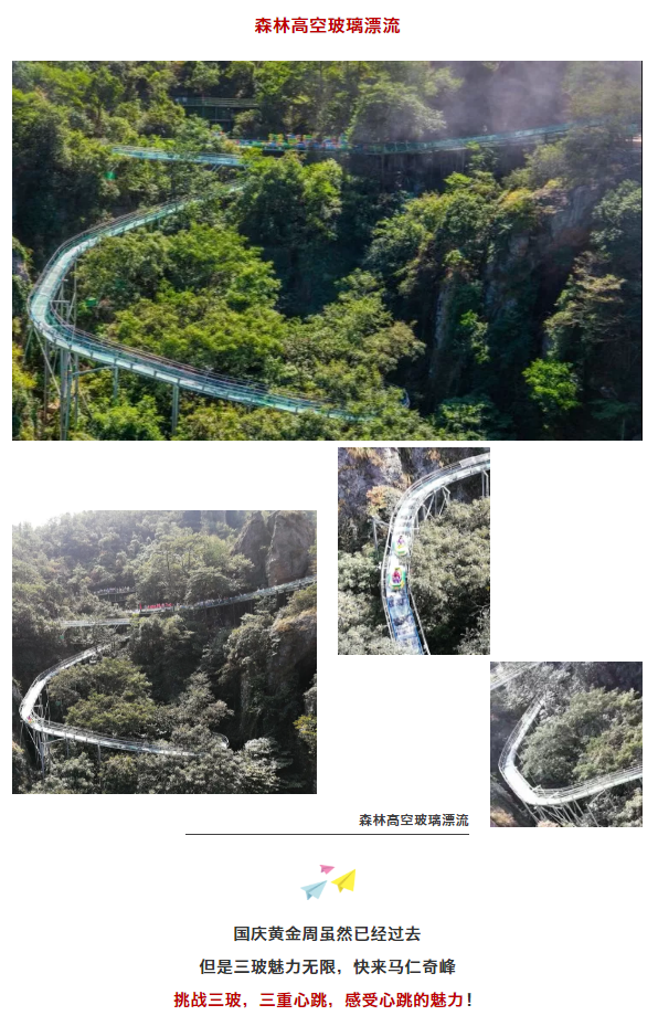 午夜熟女插插XX免费视频