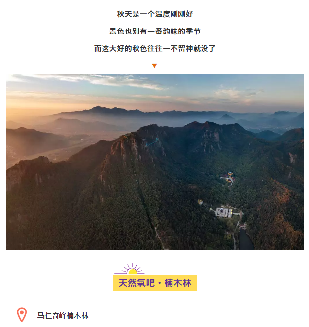 午夜熟女插插XX免费视频