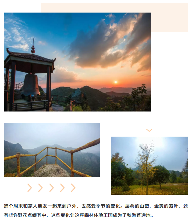 午夜熟女插插XX免费视频