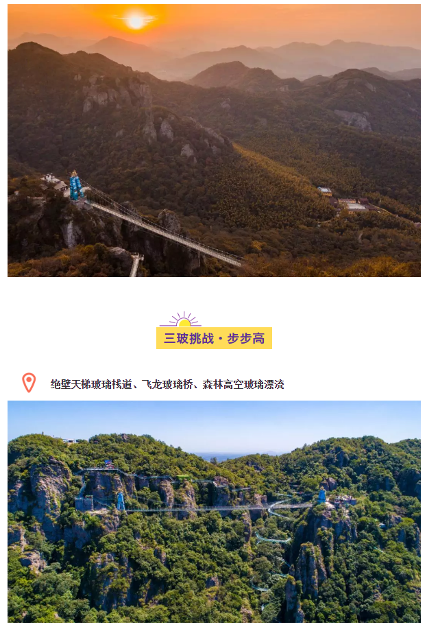 午夜熟女插插XX免费视频