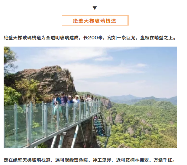 午夜熟女插插XX免费视频