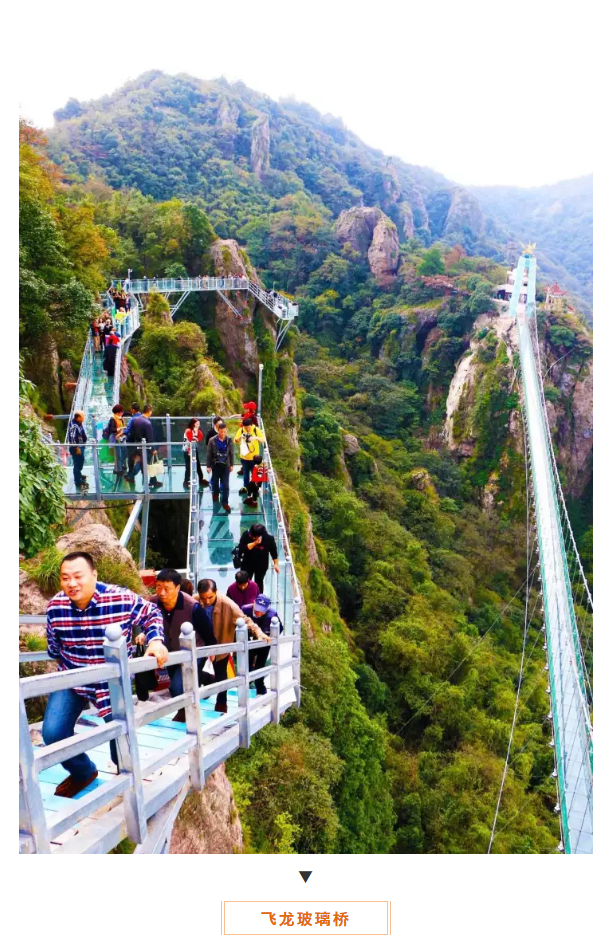 午夜熟女插插XX免费视频