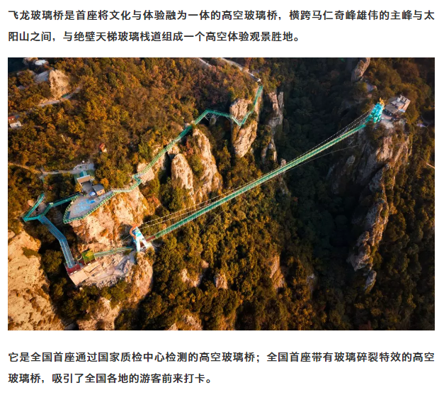 午夜熟女插插XX免费视频