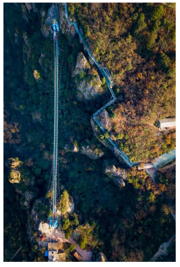 午夜熟女插插XX免费视频