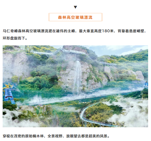 午夜熟女插插XX免费视频