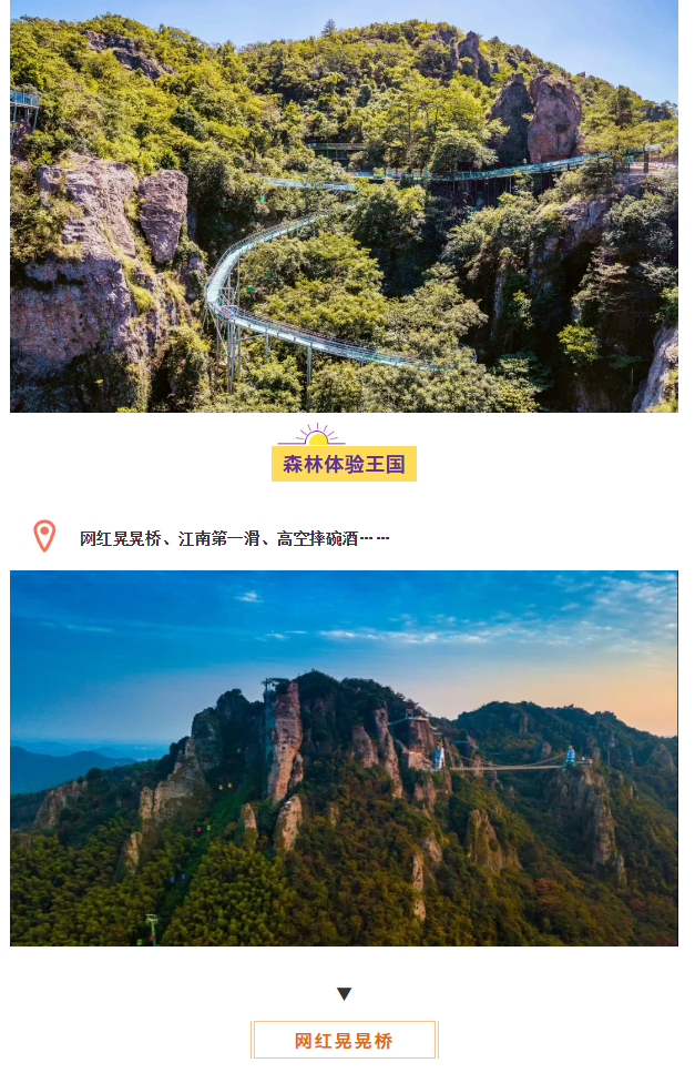 午夜熟女插插XX免费视频