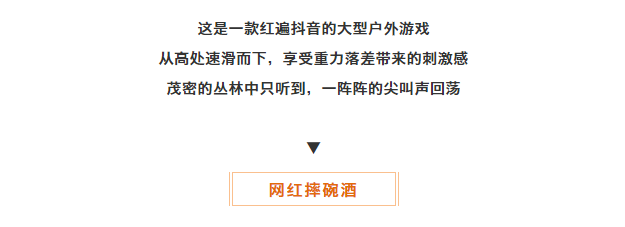 午夜熟女插插XX免费视频